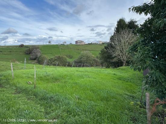  PARCELA URBANA EN LA HAYUELA - UDIAS - CANTABRIA 