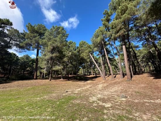 Terreno rustico de 2 hectáreas (20.465m2) con restaurante de 400m2 y parking para 100 vehículos. -