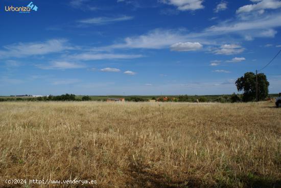  FINCA DE RECREO CARRETERA CAMPOMAYOR. - BADAJOZ 