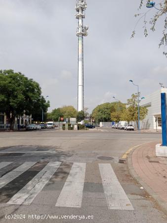  Oficina en alquiler en la Cartuja, Sevilla - SEVILLA 