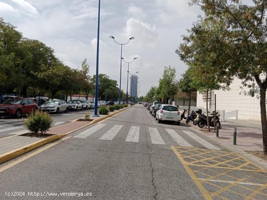 Oficina en alquiler en la Cartuja, Sevilla - SEVILLA