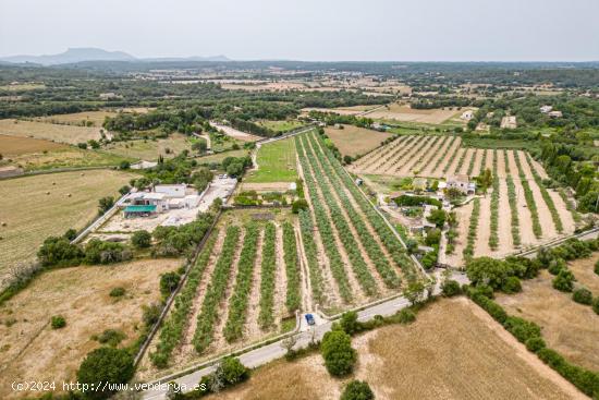  Terreno edificable con proyecto y licencia de obras en Costitx - BALEARES 