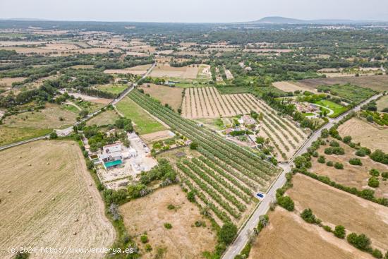 Terreno edificable con proyecto y licencia de obras en Costitx - BALEARES