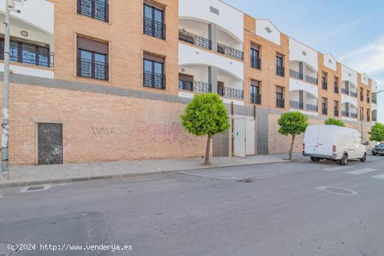 OBRA NUEVA EN CIJUELA - GRANADA