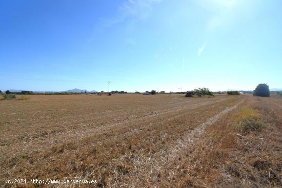 Finca rústica con posibilidad de vivienda en  Muro - BALEARES