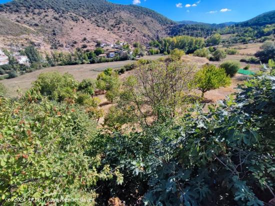 TERRENO EN EL TOCÓN DE QUÉNTAR - GRANADA