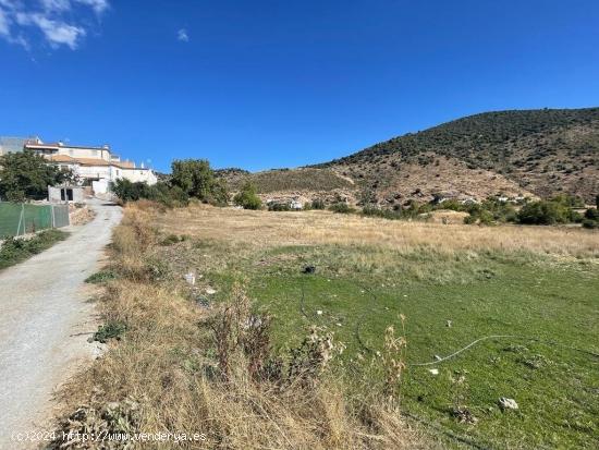 TERRENO EN EL TOCON DE QUENTAN CON AGUA Y LUZ EN LA PUERTA. - GRANADA