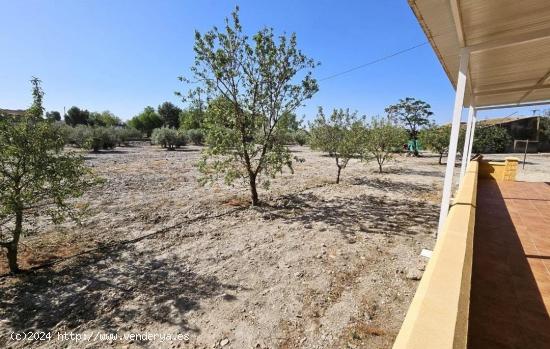 CASA DE CAMPO CON TERRENO JUNTO A LA ESTACIÓN DE PUERTO LUMBRERAS - MURCIA