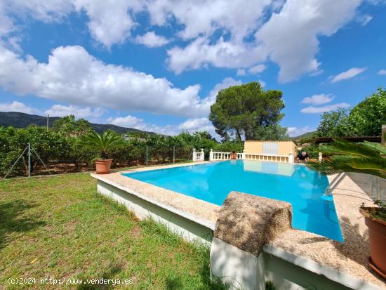 Estupendo chalet en la Barraca de Aguas Vivas!! - VALENCIA