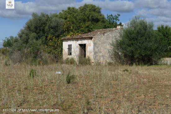  FINCA RÚSTICA CON CASETA EN BINISSALEM - BALEARES 