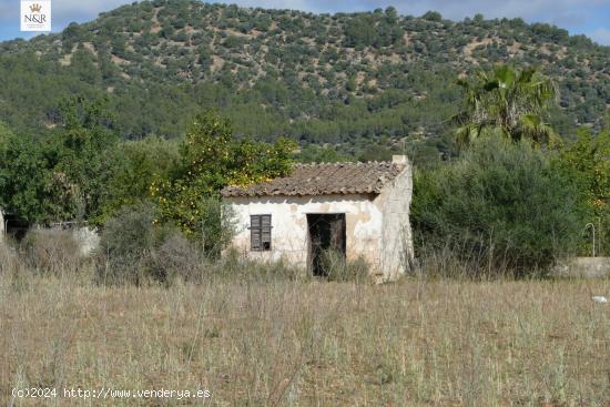 FINCA RÚSTICA CON CASETA EN BINISSALEM - BALEARES