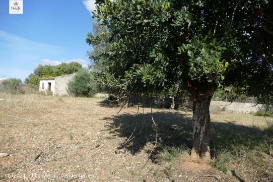 FINCA RÚSTICA CON CASETA EN BINISSALEM - BALEARES