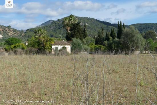 FINCA RÚSTICA CON CASETA EN BINISSALEM - BALEARES