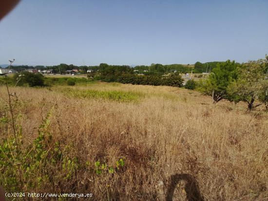 FINCAS URBANAS EN SAN ANDRES DE MONTEJOS - LEON