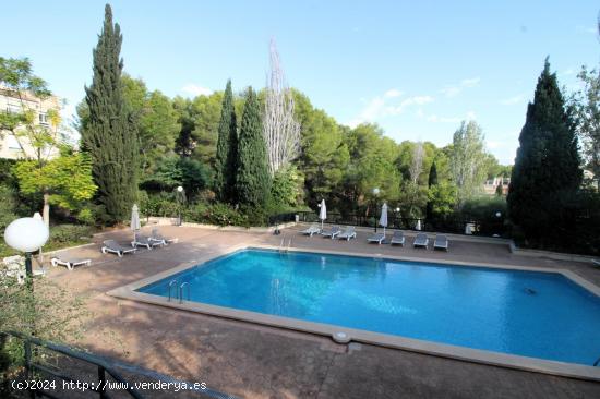 PLANTA BAJA EN LA BONANOVA CON JARDIN , PISCINA ,GARAJE Y TRASTERO - BALEARES