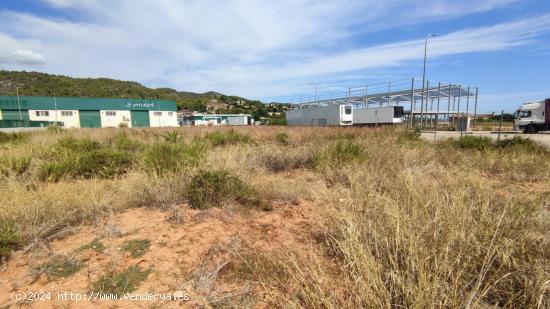 3 HANEGADAS EN POLIGONO DE PALMA PERFECTO PARA NAVES INDUSTRIALES O CUALQUIER ACTIVIDAD - VALENCIA