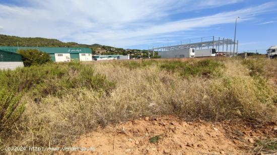 3 HANEGADAS EN POLIGONO DE PALMA PERFECTO PARA NAVES INDUSTRIALES O CUALQUIER ACTIVIDAD - VALENCIA