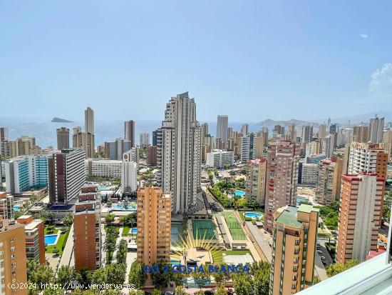 Se Vende en Benidorm - ALICANTE