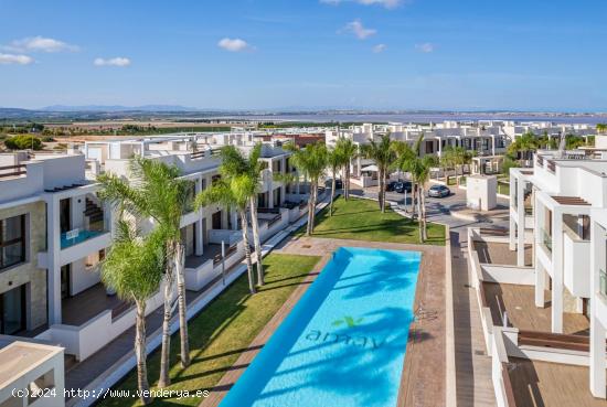 Obra nueva Los Balcones ( Torrevieja ) Planta Baja - ALICANTE