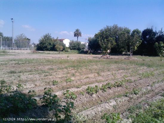 Oportunidad Única en la Huerta de Murcia! Finca con Terreno Rústico y Vivienda en Patiño - MURCIA