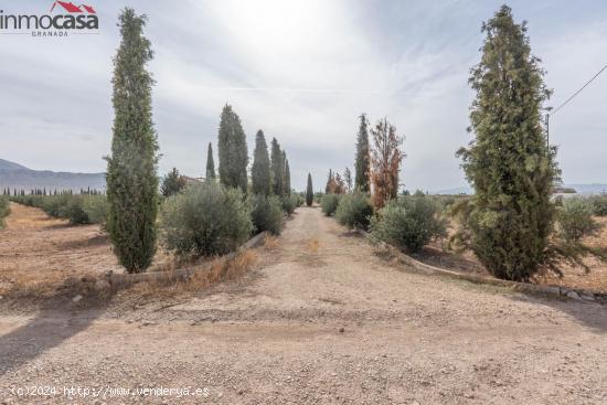 ¡Bienvenido al paraíso de la naturaleza en Huescar, Granada!!!!!!!!! - GRANADA