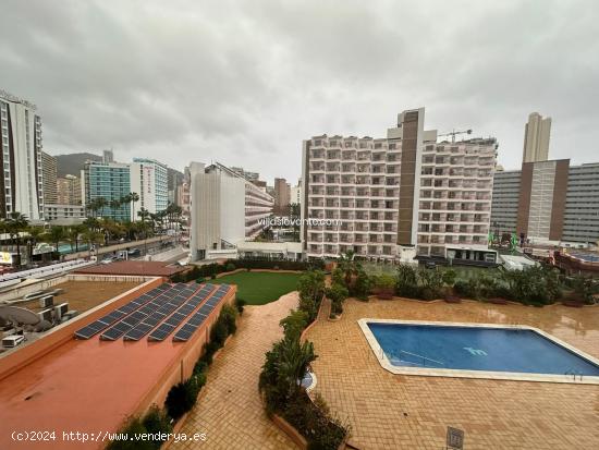  APARTAMENTO EN LEVANTE ZONA LLANA - ALICANTE 