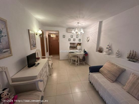 APARTAMENTO EN LEVANTE ZONA LLANA - ALICANTE