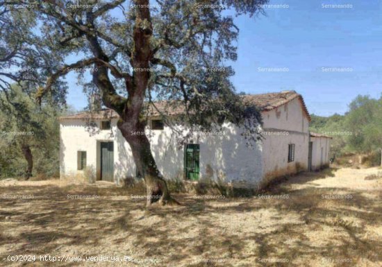  SE VENDE FINCA RÚSTICA EN VENTA EN LA NAVA (HUELVA) ESPAÑA. - Nava (La) 