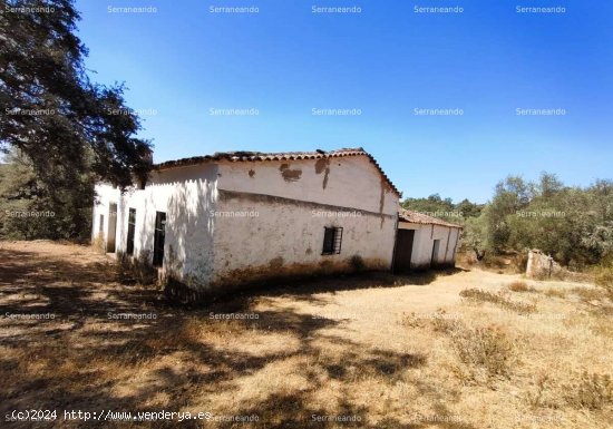 SE VENDE FINCA RÚSTICA EN VENTA EN LA NAVA (HUELVA) ESPAÑA. - Nava (La)