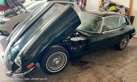 JAGUAR E TYPE en venta en Murcia (Murcia) - Murcia