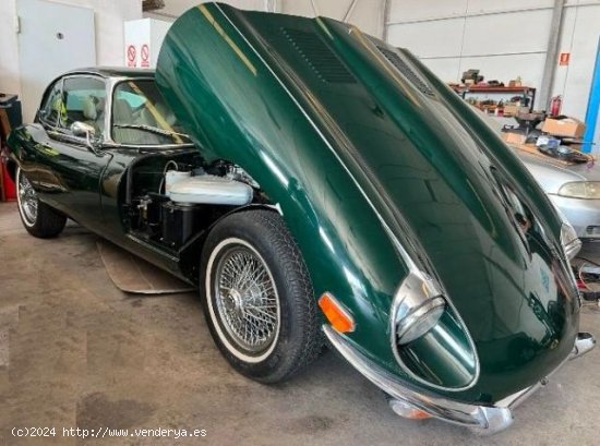 JAGUAR E TYPE en venta en Murcia (Murcia) - Murcia