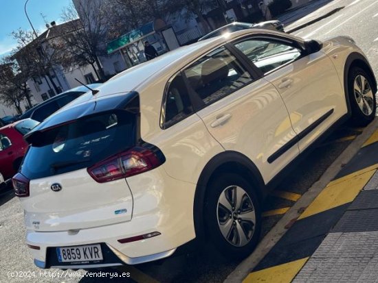 KIA Niro en venta en Pamplona/IruÃ±a (Navarra) - Pamplona/IruÃ±a