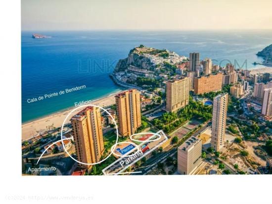 LOCAL CON TERRAZA EN CALA DE BENIDORM A 5 MINUTOS DE LA PLAYA MILPISOS.ES - ALICANTE