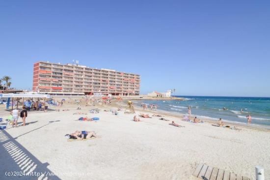 Precioso apartamento con piscina a solo 250m de la playa de Los Locos - ALICANTE