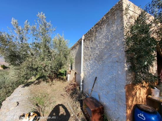 SE VENDE PARCELA CON ALMACEN EN ZONA CAMPILLO DE ABRUCENA - ALMERIA