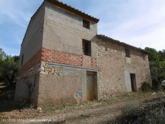  MASIA PARA REFORMAR CON TERRENO DE 118000 M2 - CASTELLON 