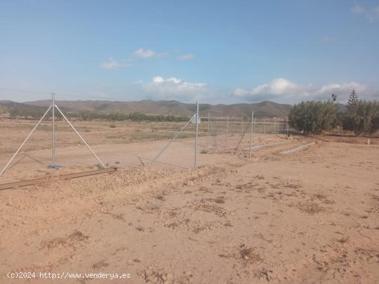 Terreno vallado con agua de regadío - MURCIA