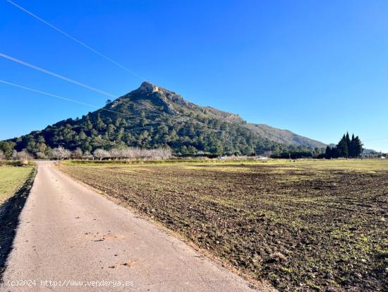 Finca rústica en Alcudia - BALEARES