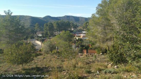 Quiere construirse su casa individual a cuatro vientos?? - TARRAGONA