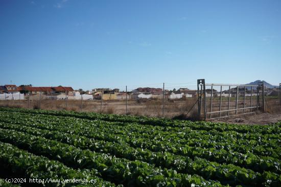 Suelo residencial y rústico en Balsicas - MURCIA