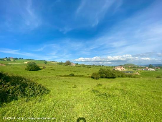 FINCA EDIFICABLE EN ONGAYO (SUANCES) - CANTABRIA