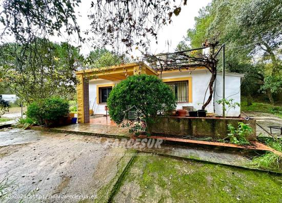 Casa de campo en plena Sierra Cordobesa en terreno de 4000m² aprox. - CORDOBA