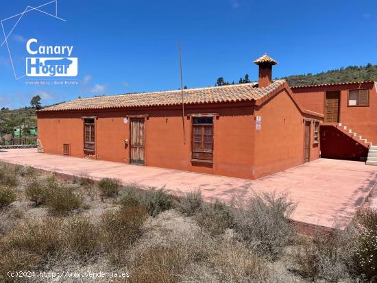 Finca de viñedos con casa en venta en Guia de Isora Tenerife - SANTA CRUZ DE TENERIFE