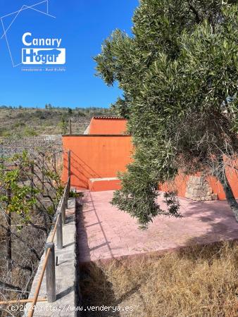 Finca de viñedos con casa en venta en Guia de Isora Tenerife - SANTA CRUZ DE TENERIFE