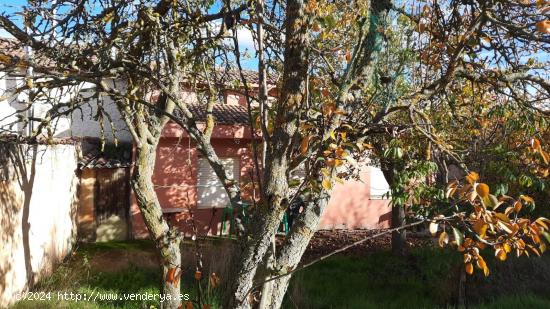 Casa en Santovenia del Monte, a 15 minutos de León - LEON