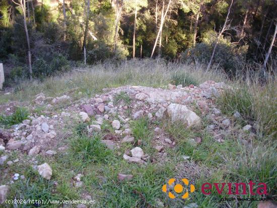 PARCELA EN URB.SELVA NEGRA - BARCELONA