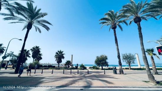 SOLAR PARA VIVIENDAS AL LADO DEL MAR - BALEARES