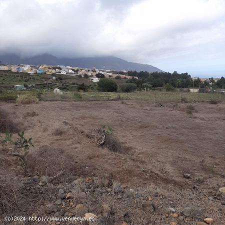 Se vende terreno en La Perdoma, La Orotava - SANTA CRUZ DE TENERIFE