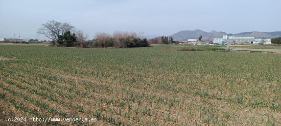 FINCA RUSTICA JUNTO CENTRO DE SALUD DE MARACENA - GRANADA