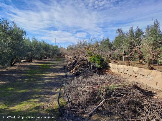 Casa/almacén con parcela de 6.000 m2 en El Saltador, Huercal-Overa - ALMERIA